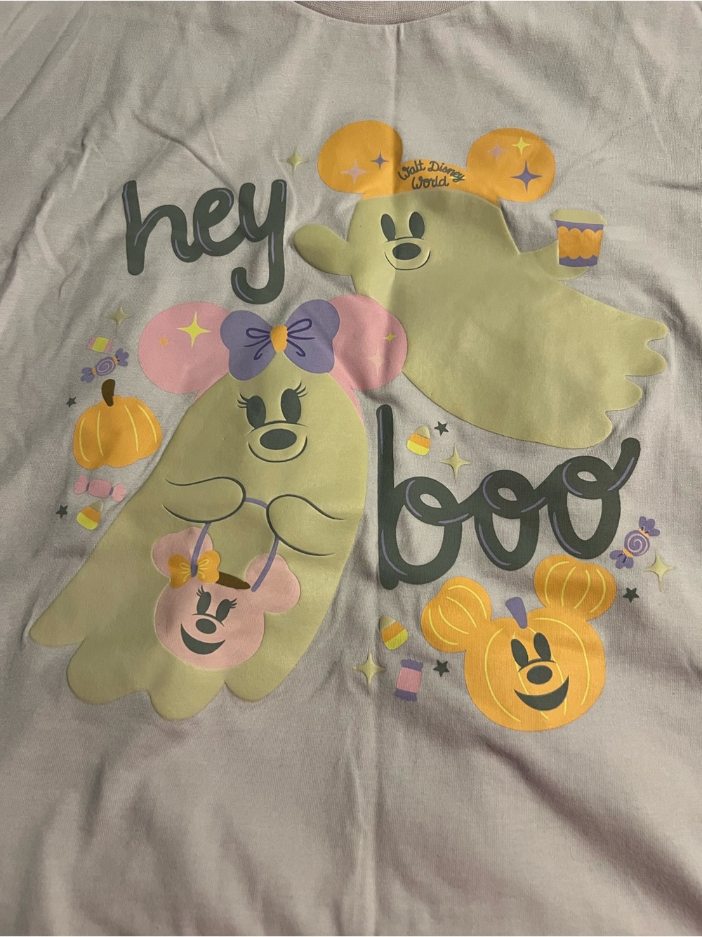 NEW 2026 Walt Disney World Halloween "Hey Boo" Mickey & Minnie Unisex Tee XL